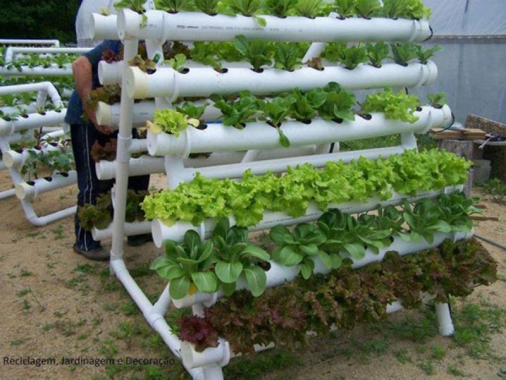 How To Make A Vegetable Garden As Well As 15 Unusual Vegetable Garden Ideas - Metaiv.ORG