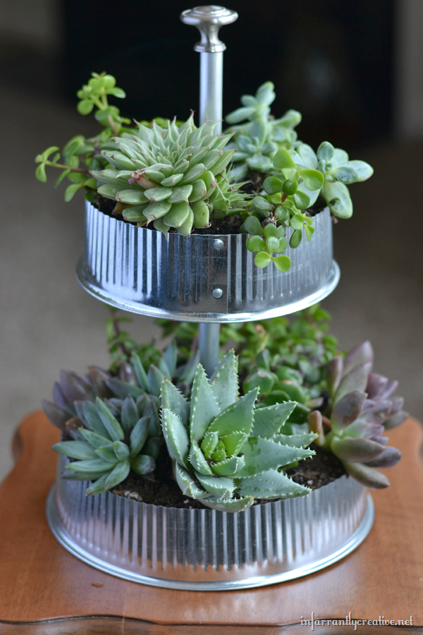 industrial-tiered-stand-succulents