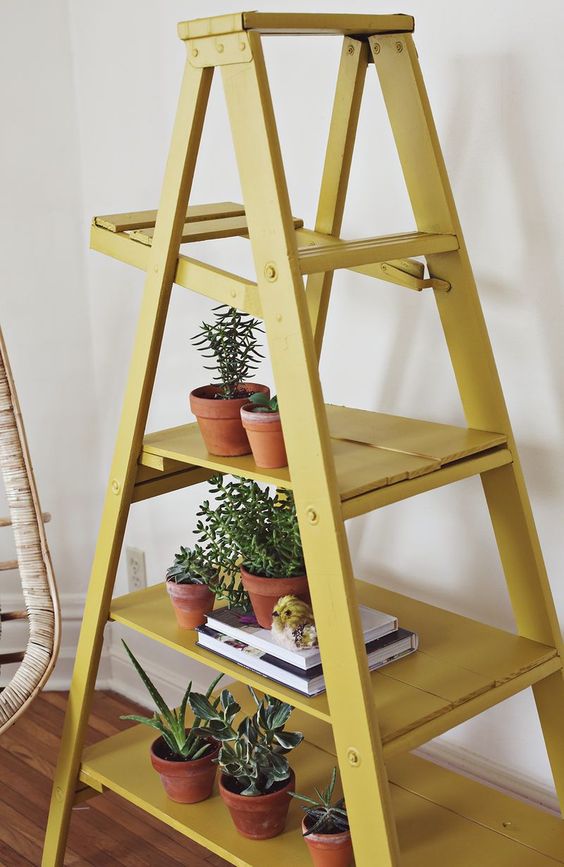 ladder as plant stand