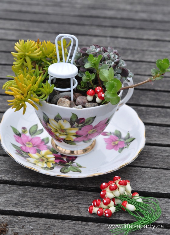 miniature-garden-in-a-teacup-2