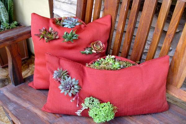pillow succulent garden