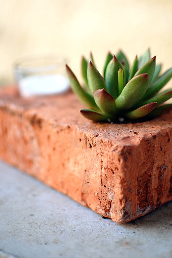 Brick-succulent-planter