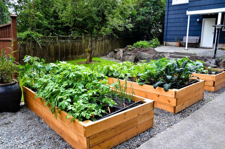 Gorgeous-Small-vegetable-garden-plans-ideas