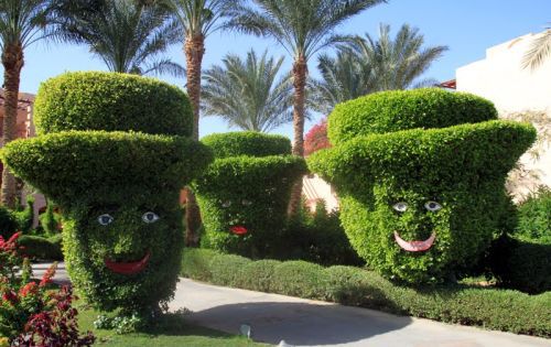amazing-topiary-art-26