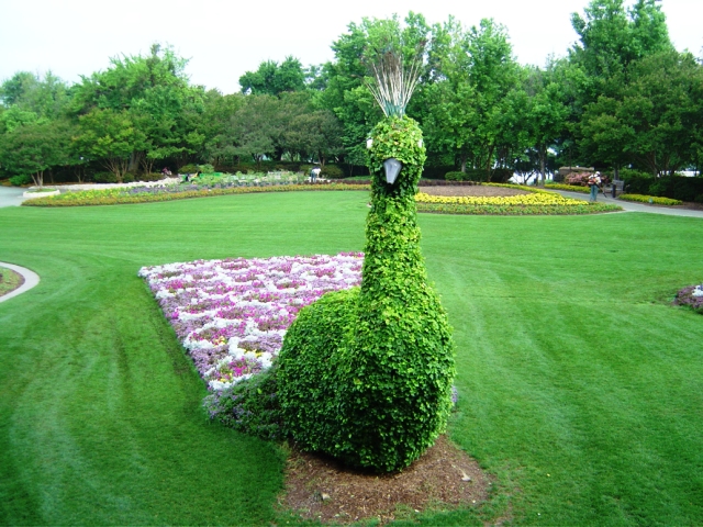 animal-topiary