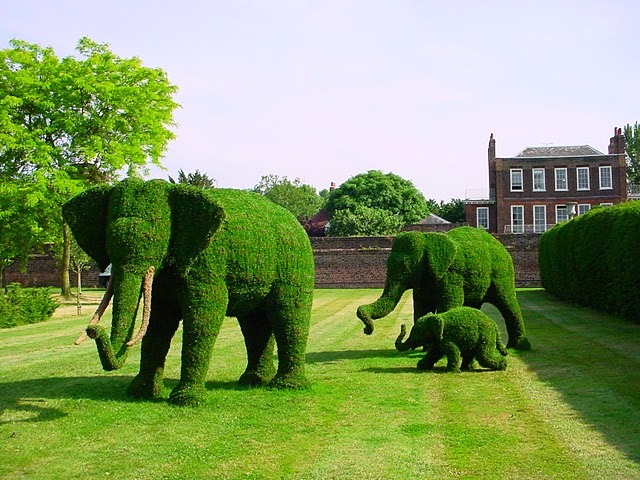 animals-topiary