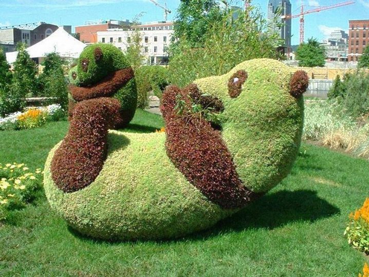 creative-and-beautiful-gardens-2