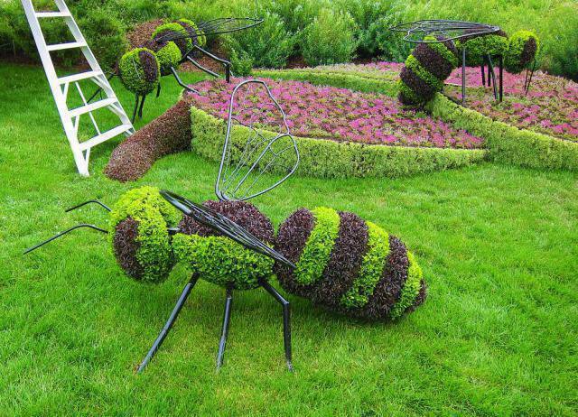 creative-and-beautiful-gardens-3