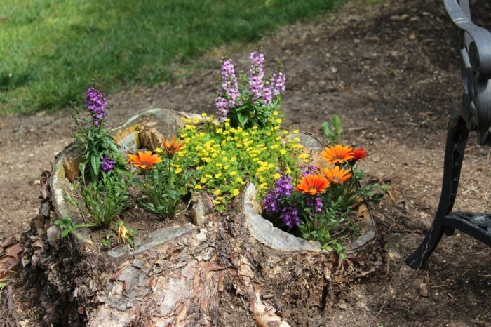 idée-originale-planter-fleurs-trous-tronc-arbre-coupé