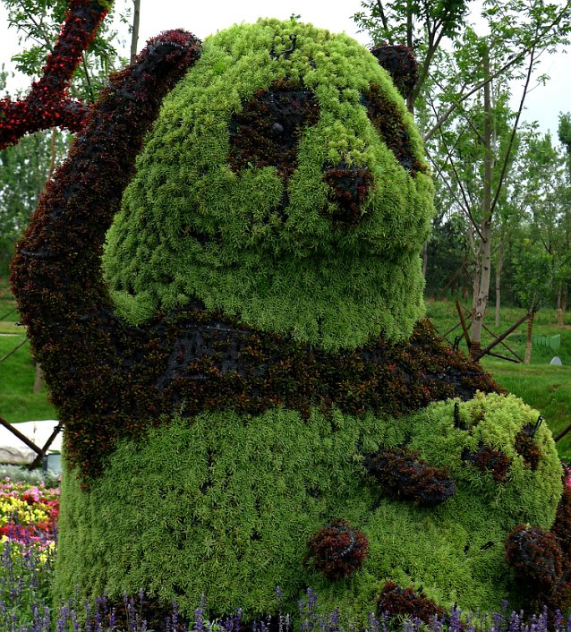 Panda topiary