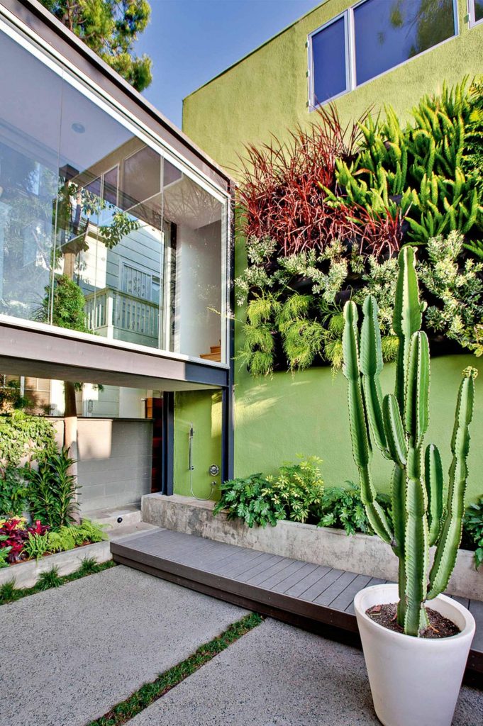 verticla-garden-green-wall-cactus