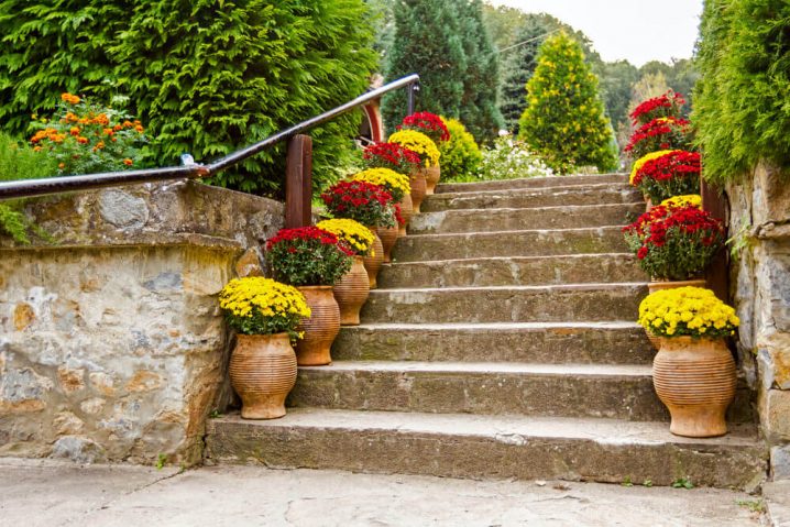 60flower-pots-on-stairs