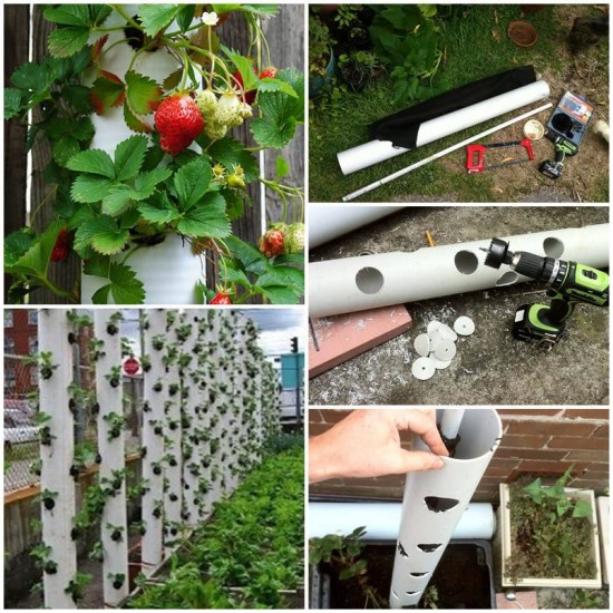 FabArtDIY-PVC-Gardening-Ideas-and-Projects-PVC-Strawberry-Tube-Planter