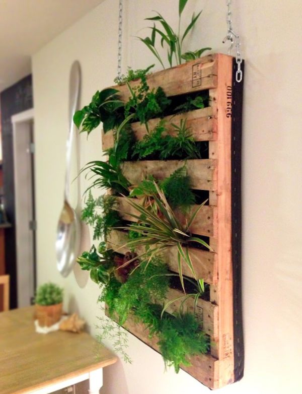 Finished-DIY-living-wall-crafted-from-a-shipping-pallet