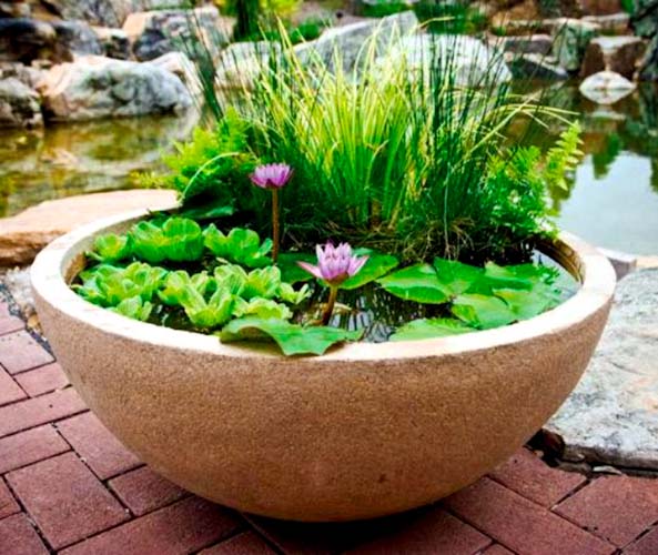 aquascape-container-water-garden-800x8001