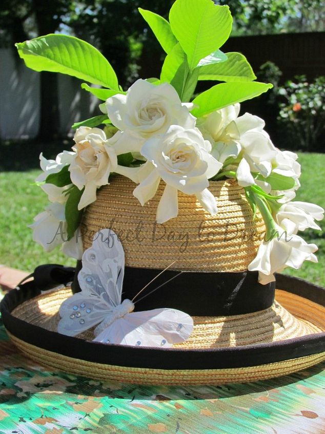 beautiful hat planter