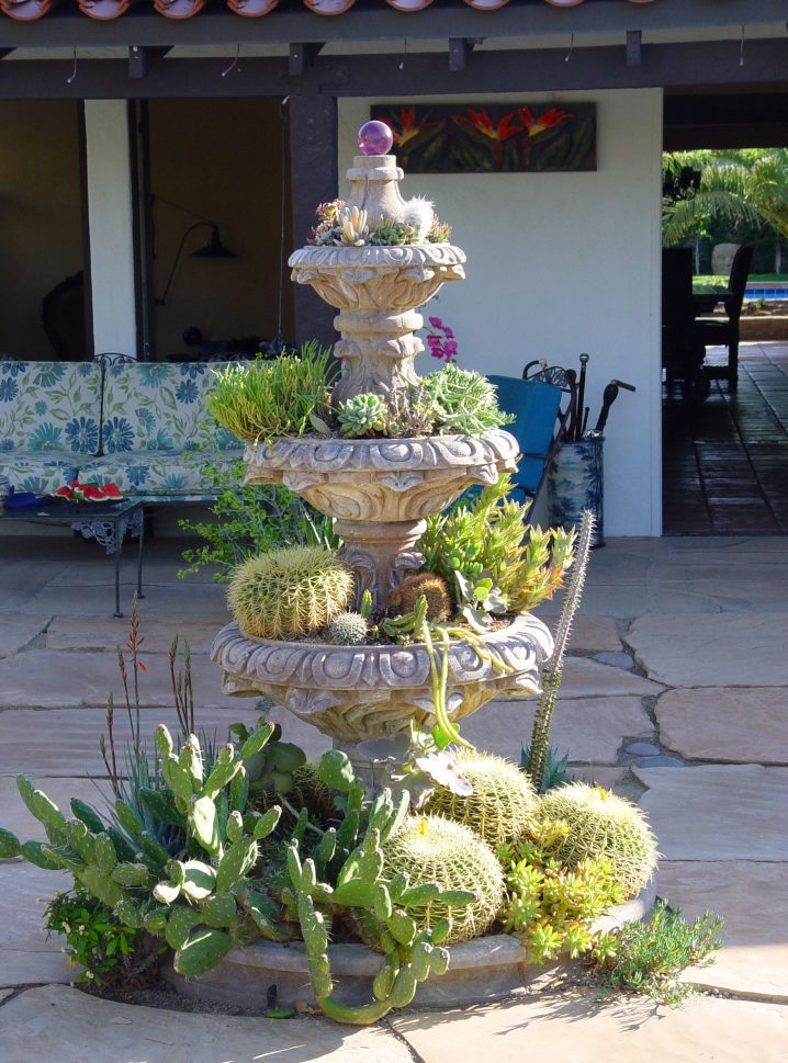 cactus-fountain-