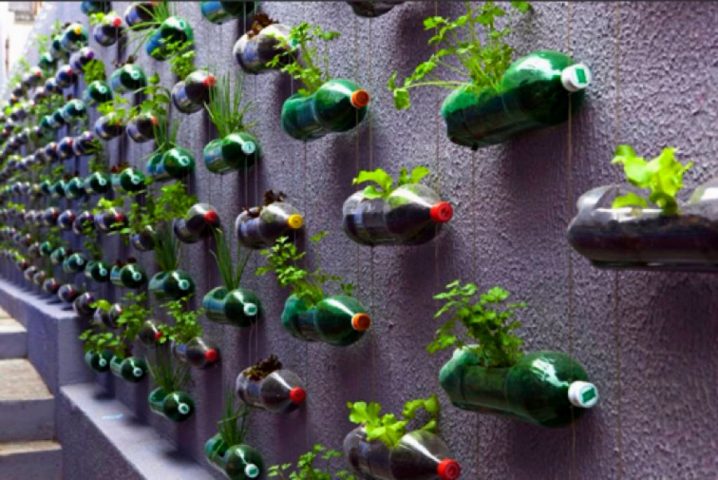 diy vertical garden plastic bottles