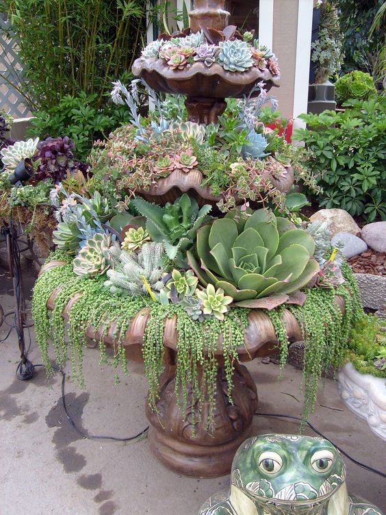 fountain with succulents