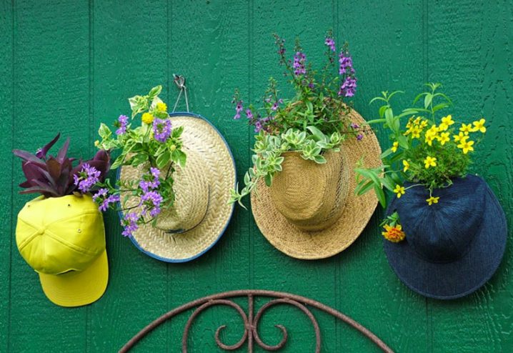 hats-off-plants