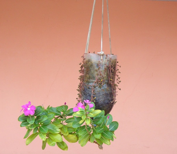 reverse hanging planter