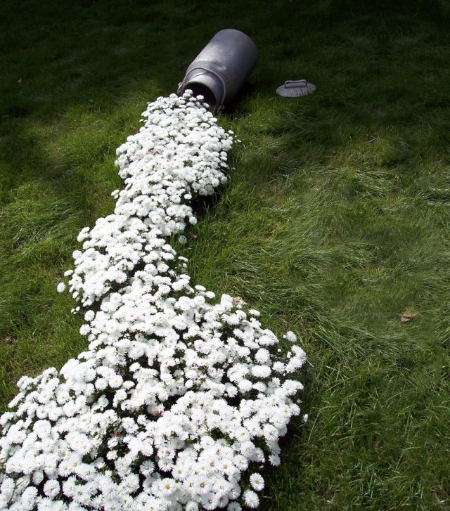 spilled-flower-pots-a-02-640x727
