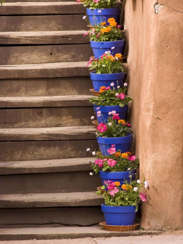 staircase decorated with flower pots