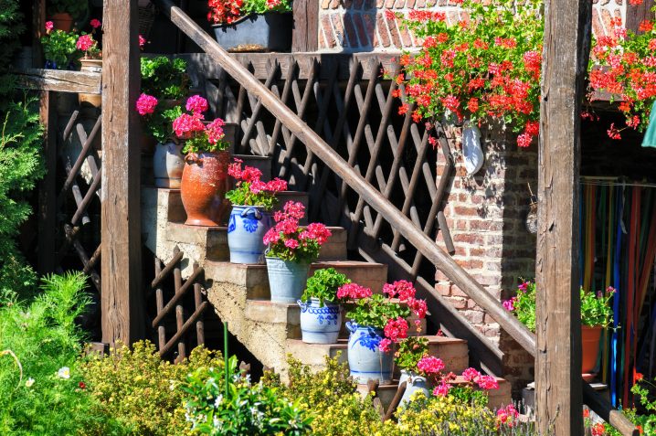 Staircase with colorful flowers in pots