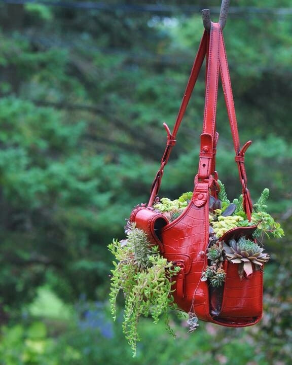 succulent planter purse