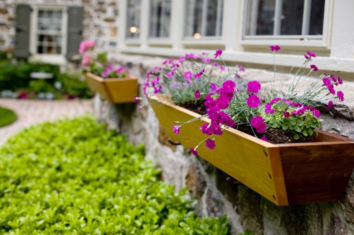wooden-window-boxes-1024x682