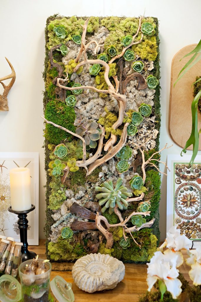 10-embellished-wall-panel-showcases-succulents-and-driftwood-vertical-garden-idea-homebnc