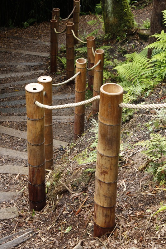 Bamboo railings - Heligan-qpr