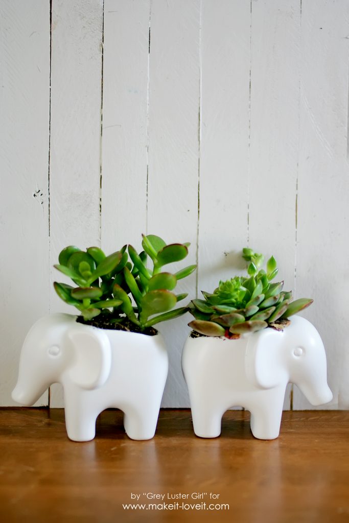 DIY-Toy-Elephant-Succulent-Planter-17