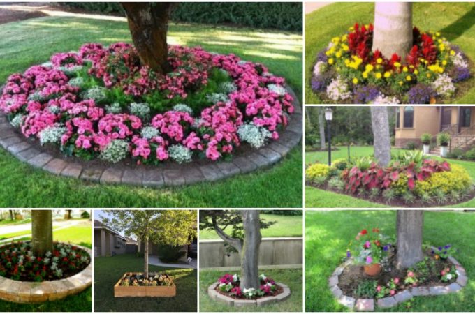 15 Eye-Catching Flower Beds Around Trees You Need To See - Top Dreamer