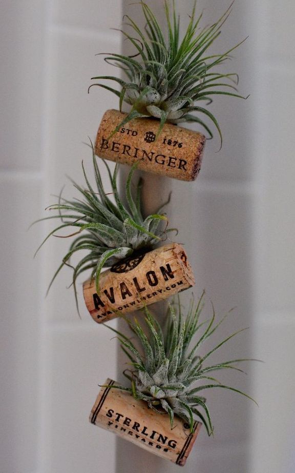 air-plant-wine-bottle-cork-magnets-crafts-home-decor-repurposing-upcycling