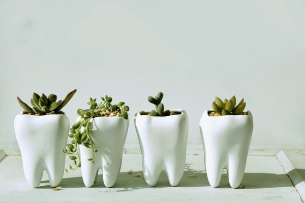 cute-tooth-planter-600x400