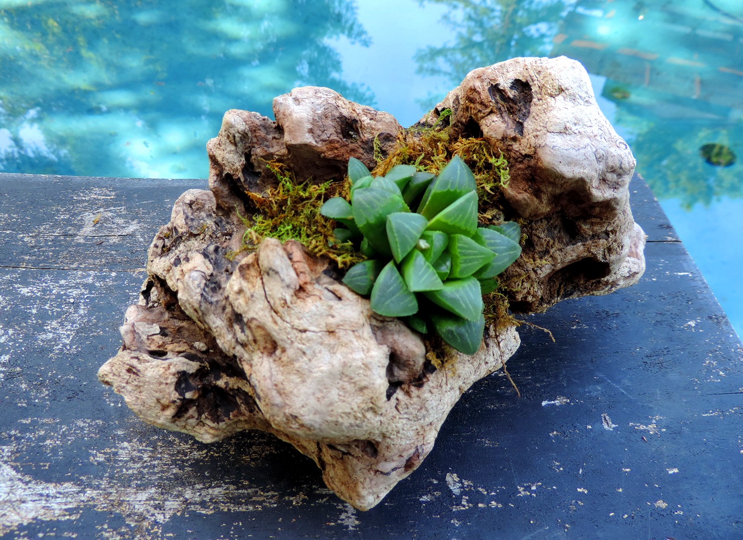 Absolutely Awesome Driftwood Planters That Will Amaze You - Top Dreamer - Modern Planters For Driftwood Decor