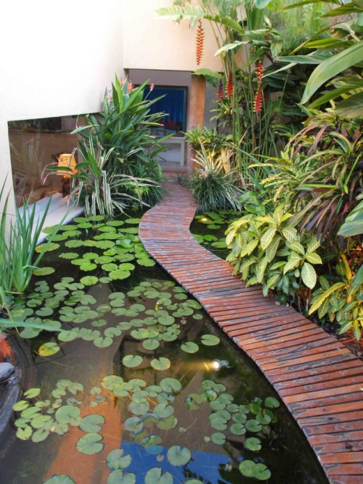 plant-a-garden-present-modern-narrow-pond-with-water-lilies-and-curved-wooden-walkway-idea
