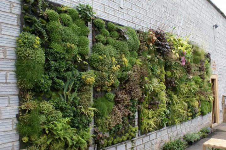 vertical-garden outdoor wall art decorations 