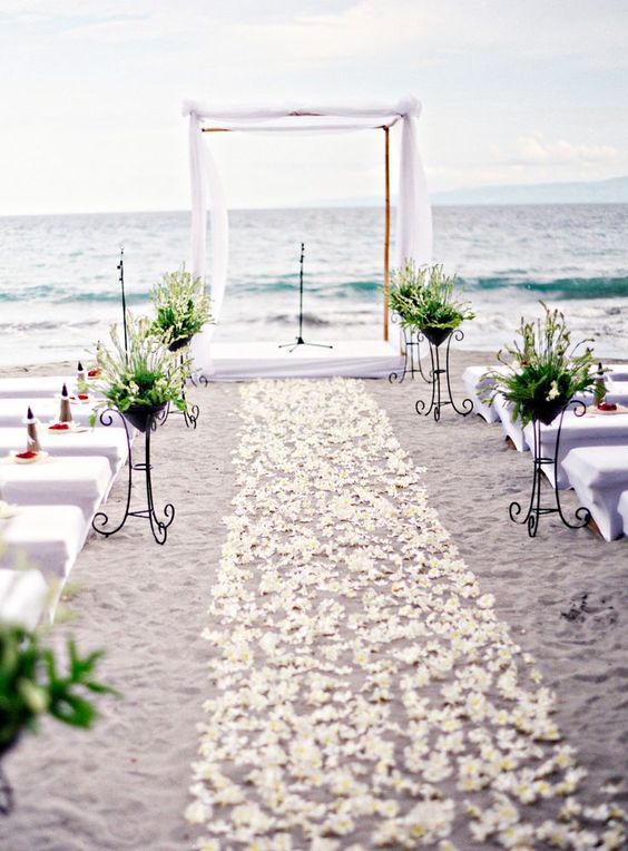 wedding isle on the beach