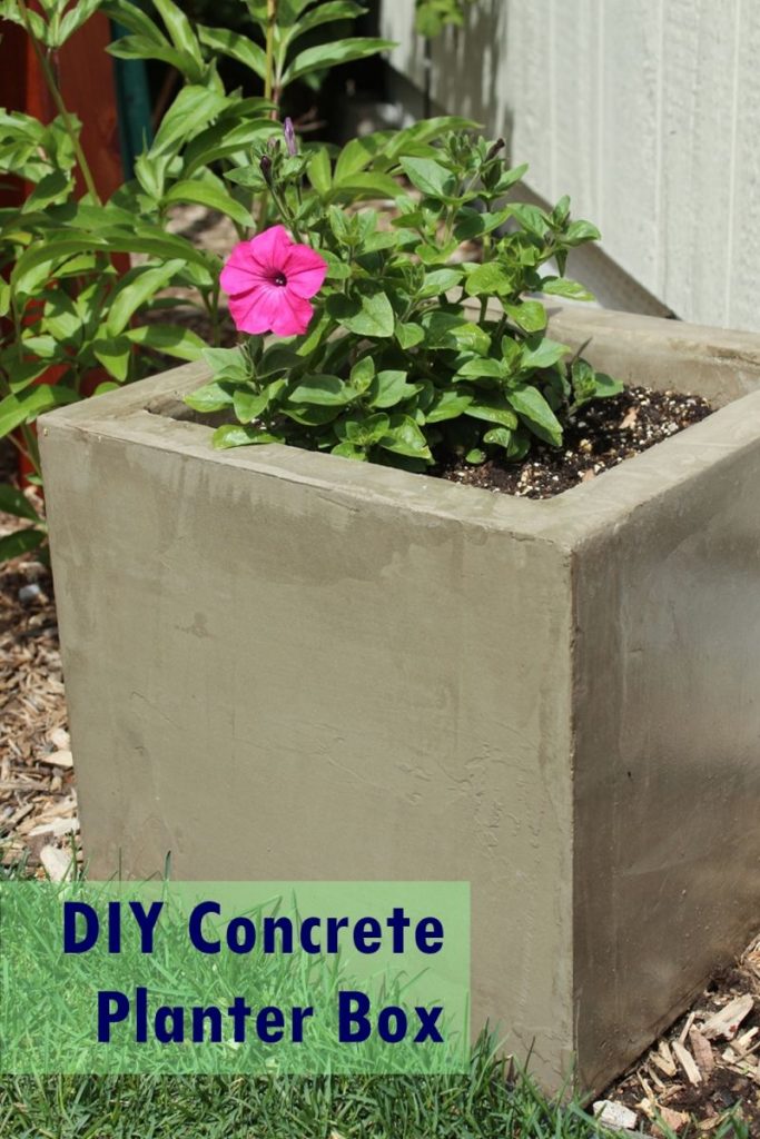 Flowers-in-concrete-planters