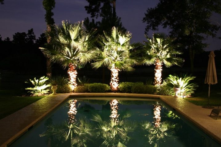 Landscaping-lighting-on-poolside-palm-trees