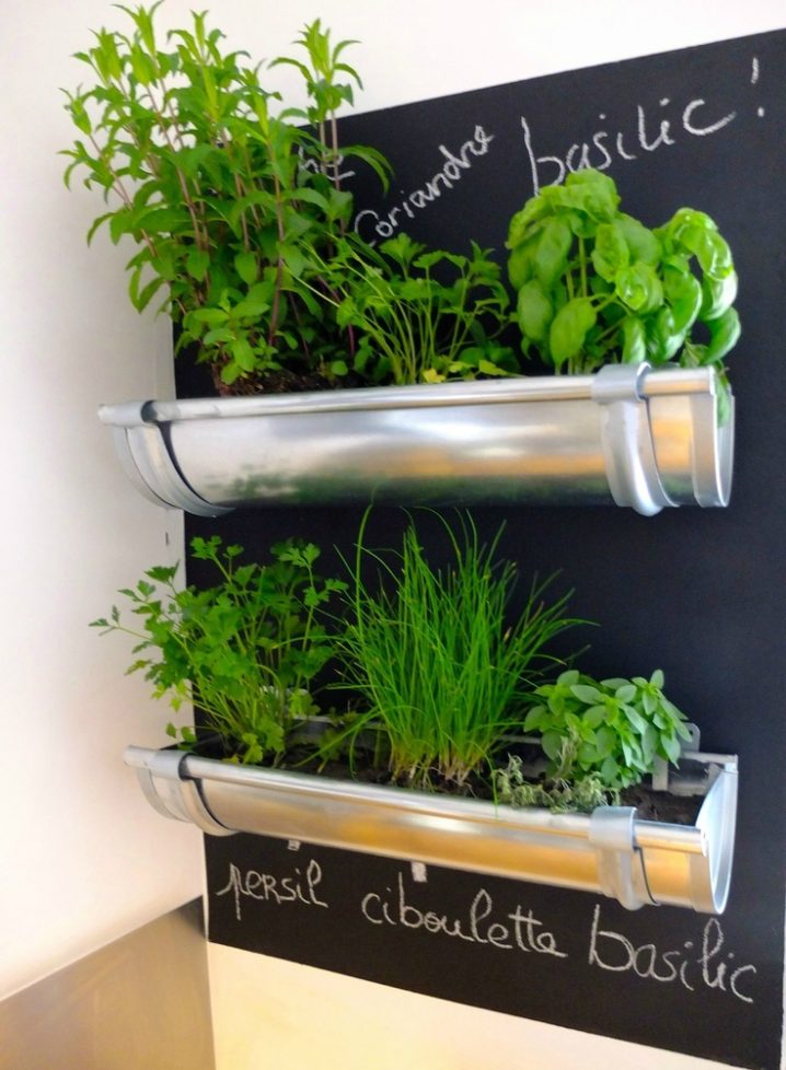 Smart-Herb-Garden-Ideas-with-Simple-Silver-Gutter-Pipe-on-Black-Wood-Board-and-White-Hand-Writing-Name-Plant-beside-Large-Pure-Wall