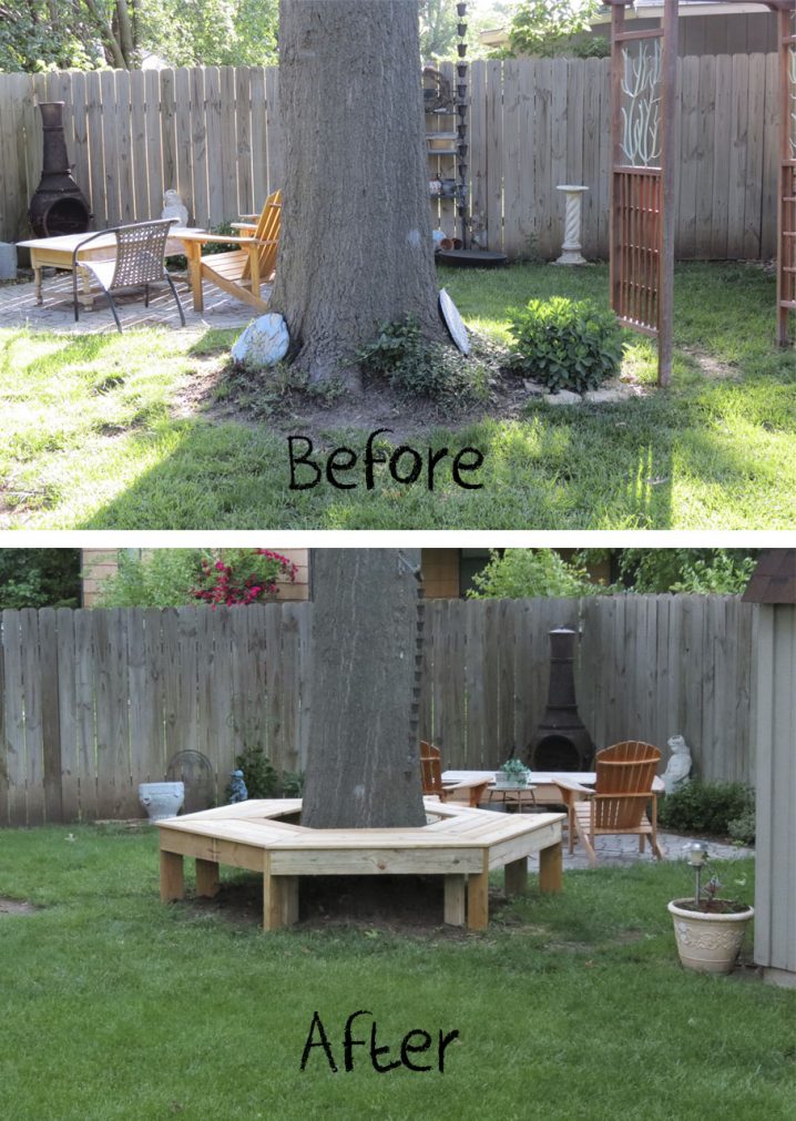 before after tree bench