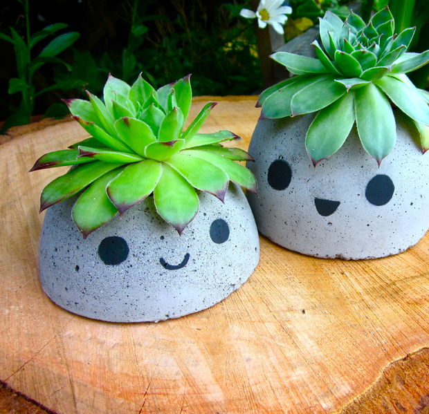 cute concrete planters