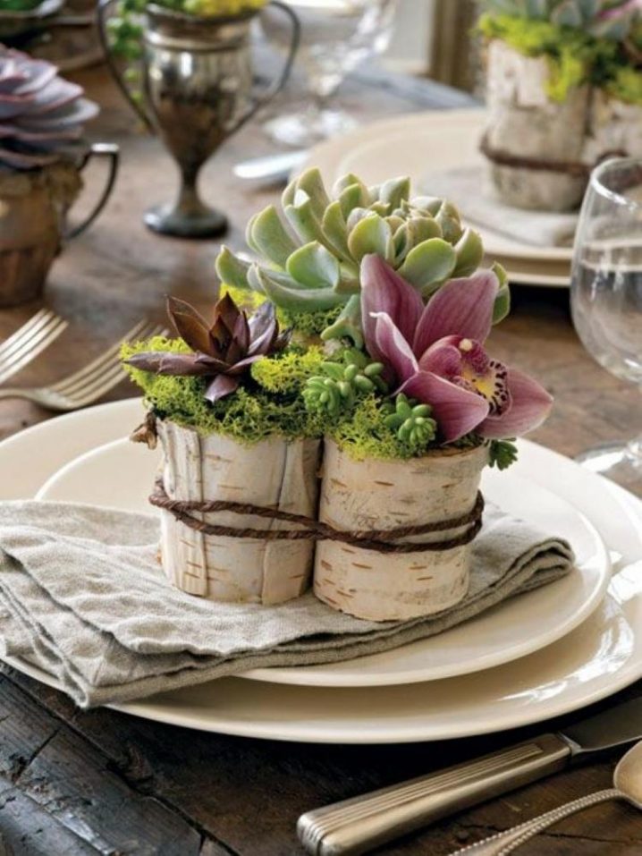 decoration-tronc-bouleau-vase-arrangement-succulentes-orchidée