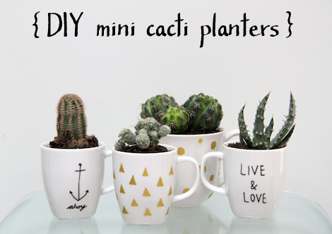 diy mini cacti planters