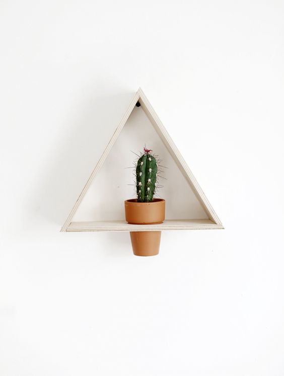 diy triangle cacti planter