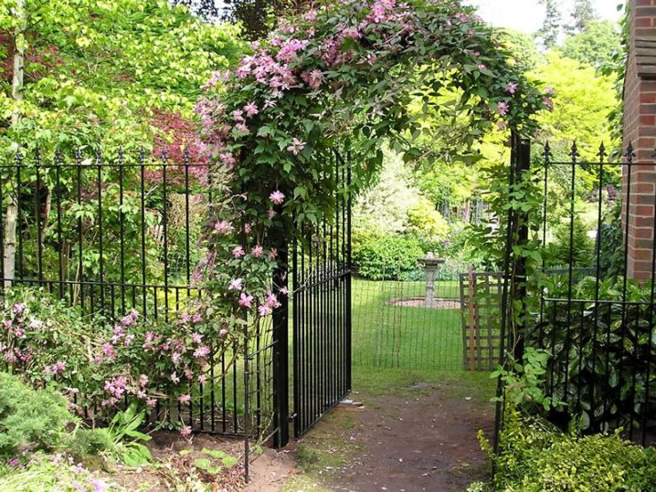 flowers on gate