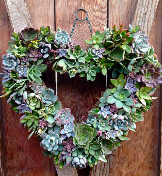 heart_succulent_wreath